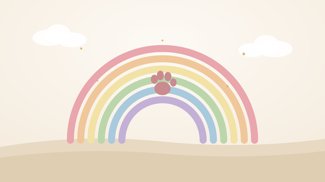 Soft illustration of a pastel rainbow with a paw print at its center